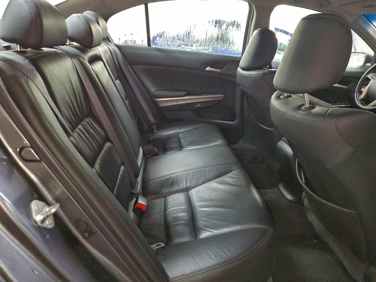 Honda Accord Exl Image 8