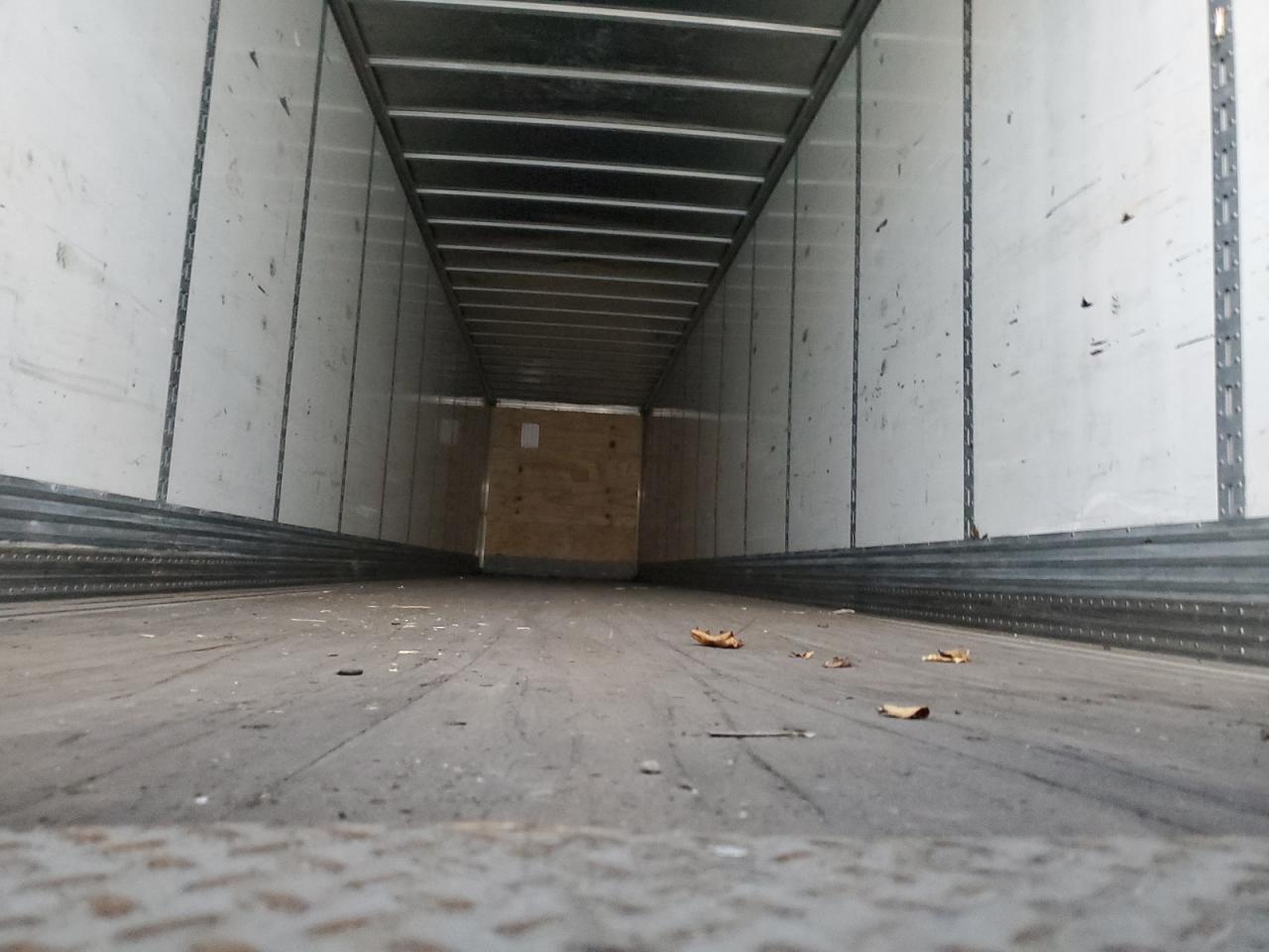 Great Dane Van Image 3