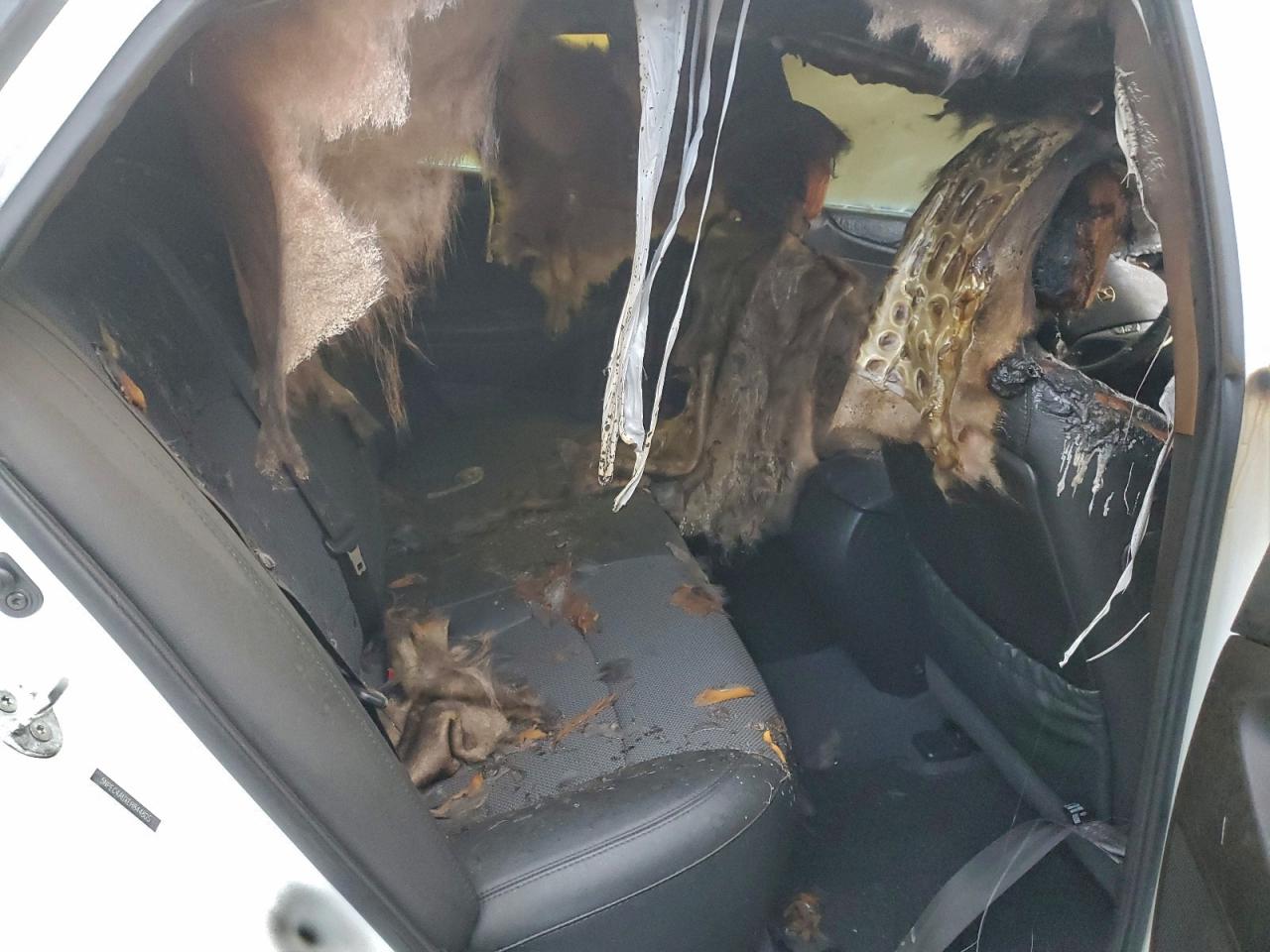 Hyundai SONATA Se Image 9