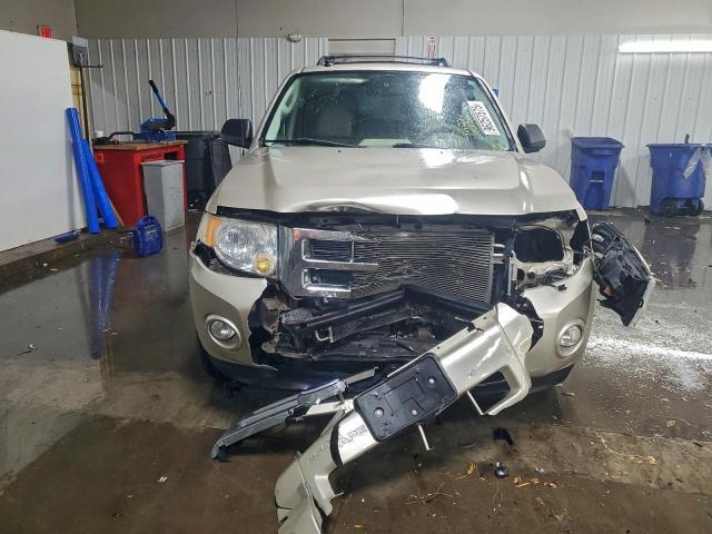 Ford Escape Xlt Image 5