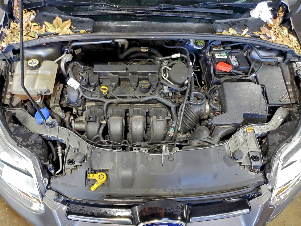 Ford Focus Sel Image 12