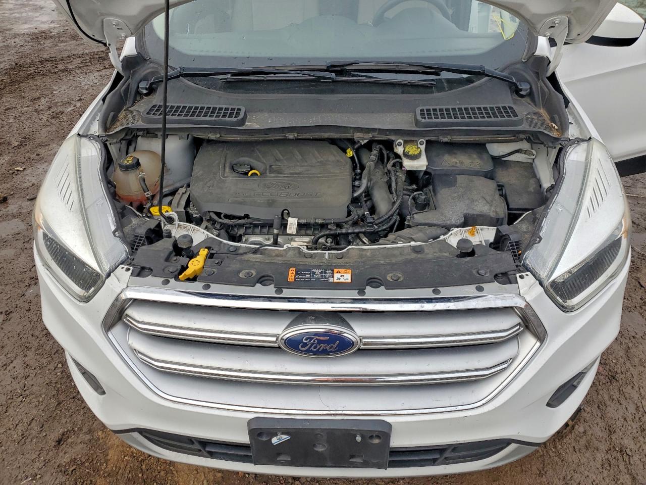 Ford Escape Se Image 6