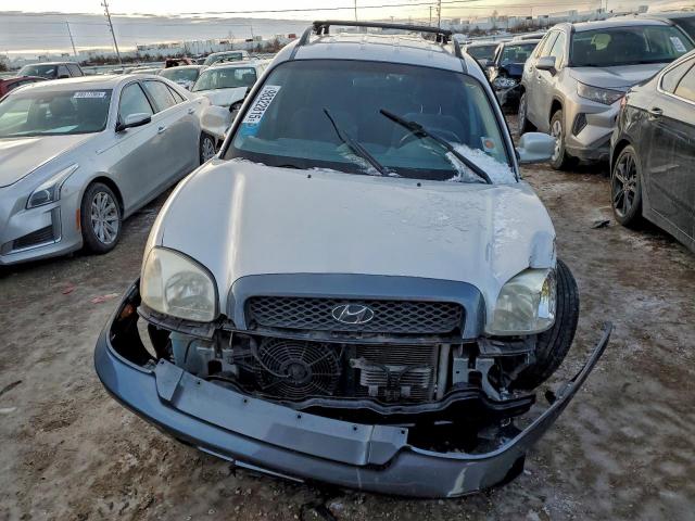 Hyundai SANTA FE Gls Image 6