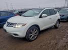 Nissan Murano S Image 1