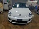 Volkswagen Beetle Image 3
