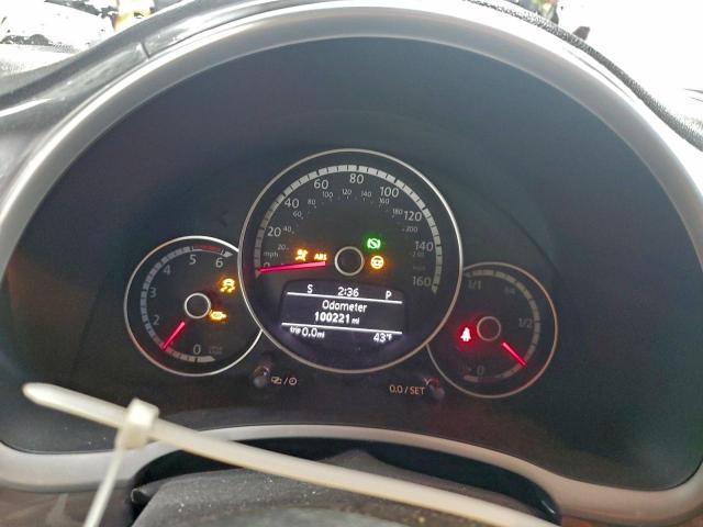 Volkswagen Beetle Image 11