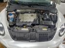 Volkswagen Beetle Image 12