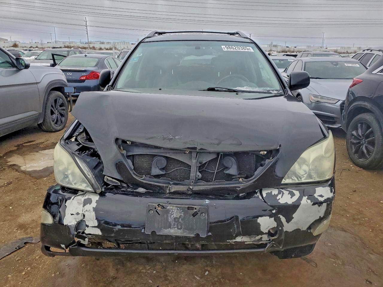 Lexus RX 330 Image 10