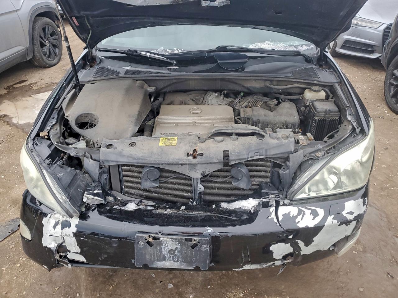 Lexus RX 330 Image 8