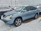 Lexus RX 330 Image 1